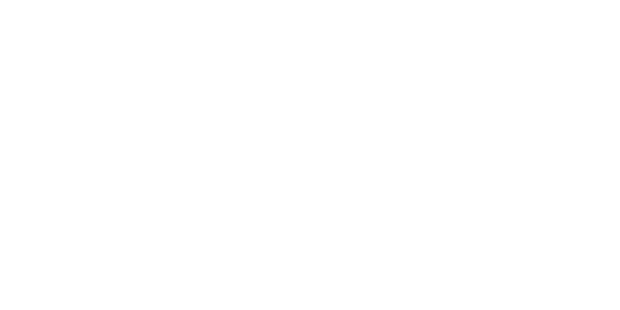 Flash Importados logo