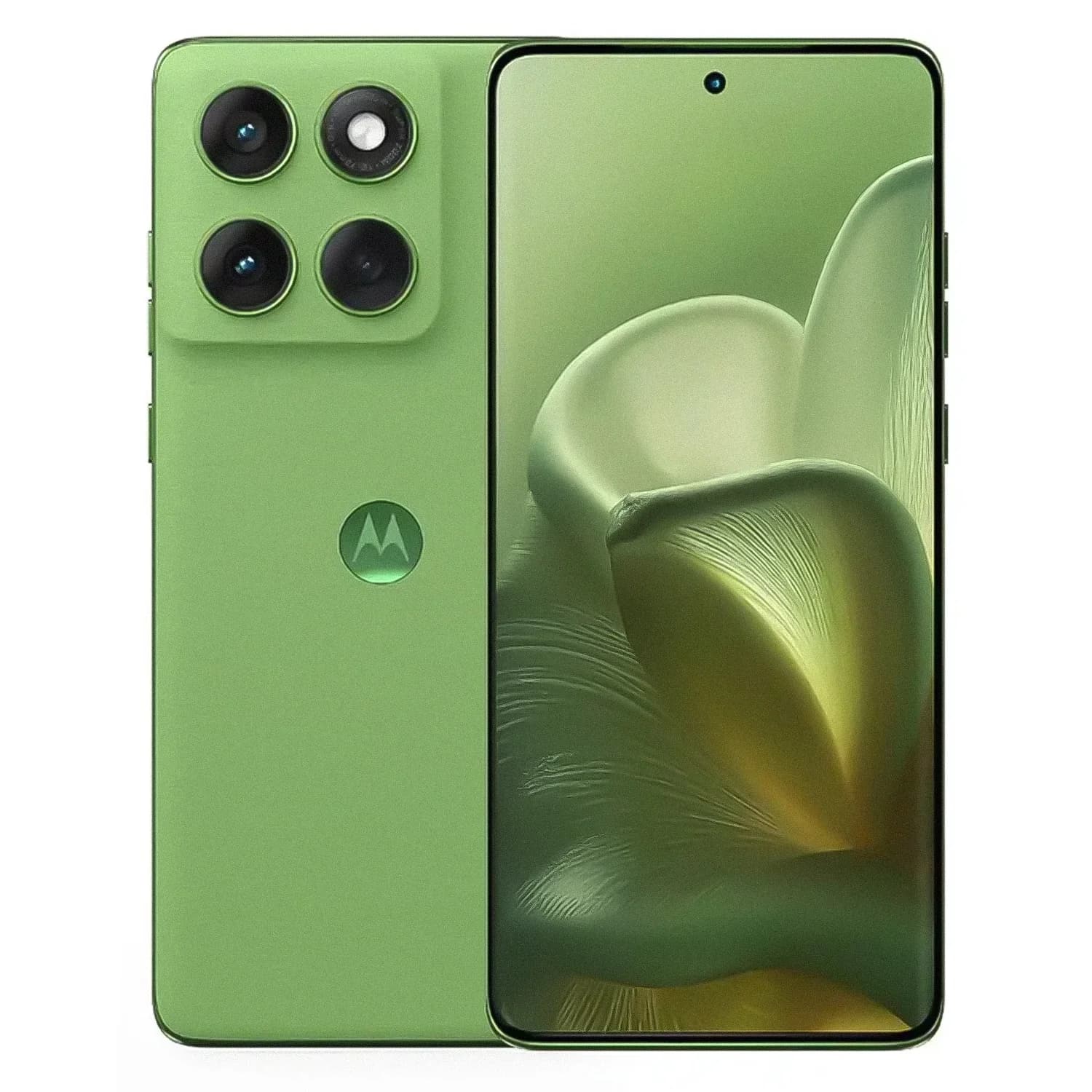 Moto Edge 60 Fusion 256GB Verde