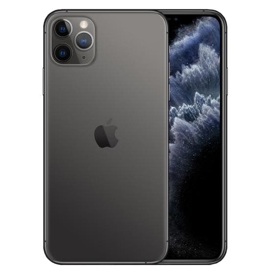 Apple Iphone Pro Max Space 256GB Cinza