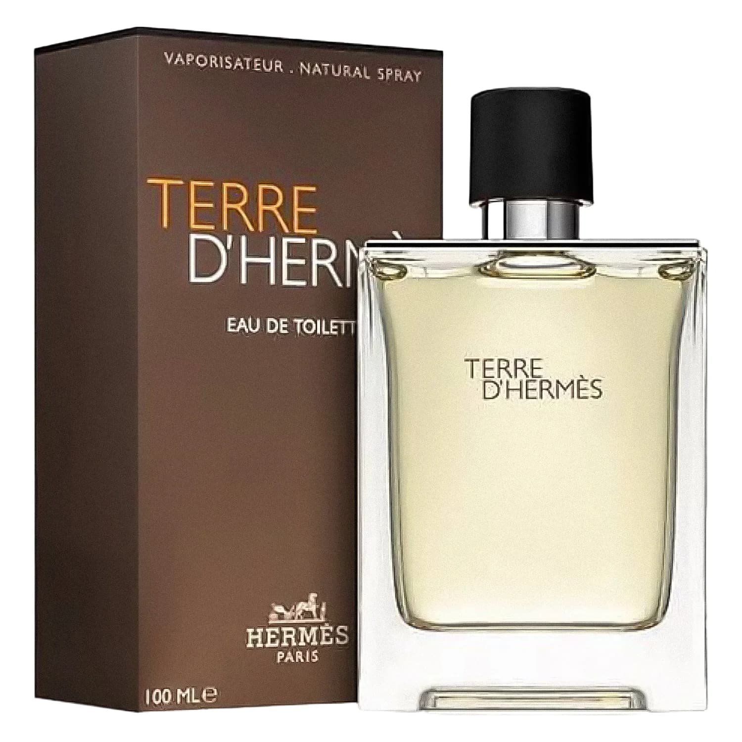 Hermès Terre D' EDT 100ml