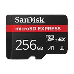 Sandisk Cartao Micro Sd Sandisk Express GN4NN 256GB Preto