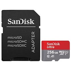 Sandisk Cartao Micro Sd Sandisk Ultra Classe A1 U1 Sdsquac GN6MA 256GB