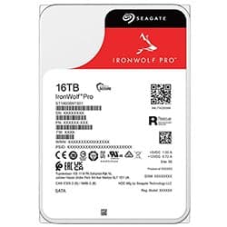 Seagate Iron Wolf Pro 16384GB