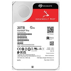 Seagate Iron Wolf Pro 20480GB