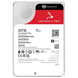 Seagate Iron Wolf Pro 24576GB