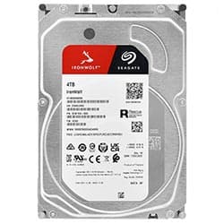 Seagate Iron Wolf Nas 4096GB