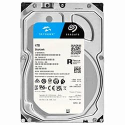 Seagate Skyhawk 4096GB