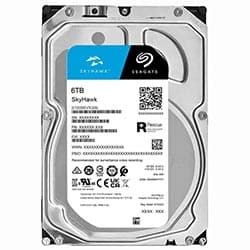 Seagate Skyhawk 6144GB