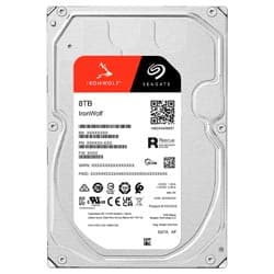 Seagate Iron Wolf Nas 8192GB