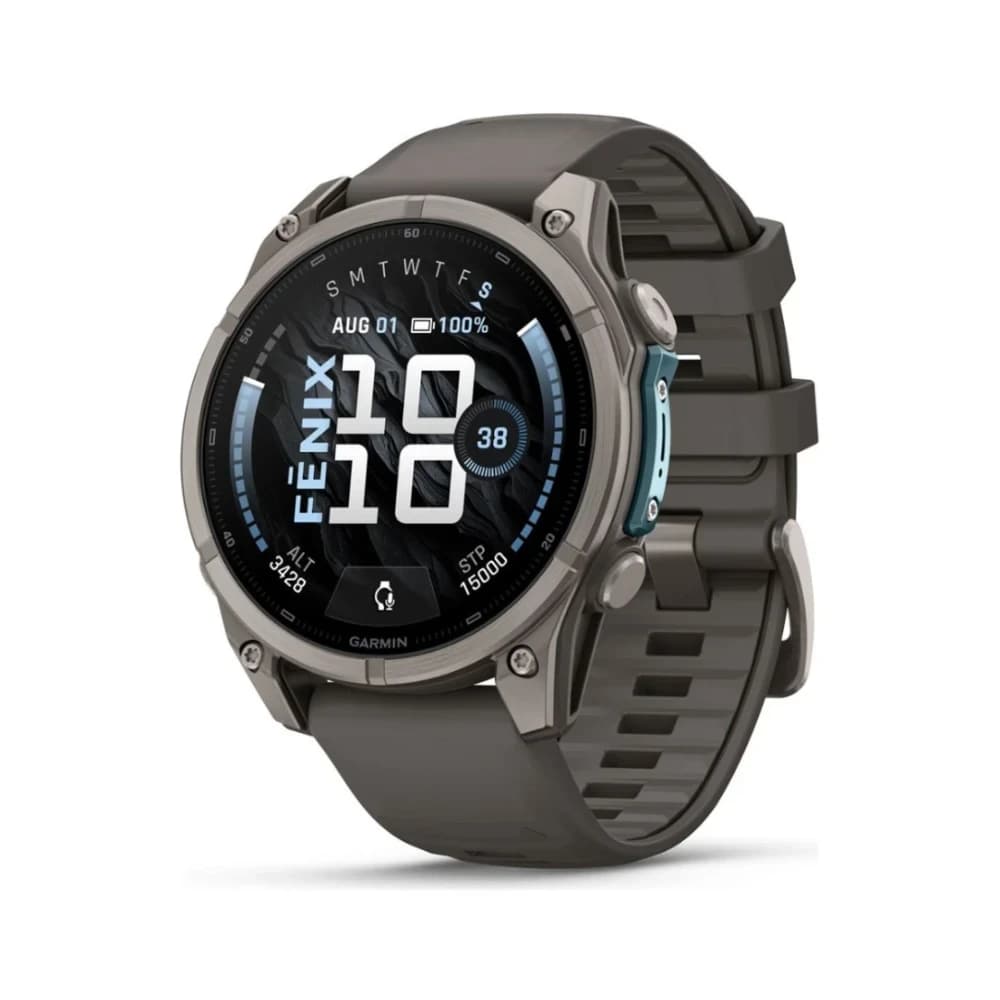 Garmin Reloj Inteligente Garmin Fenix Pebble Cinza