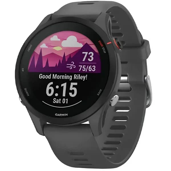 Garmin Relógio Forerunner 255 010-02641-00 mm com GPS Bluetooth - Cinza