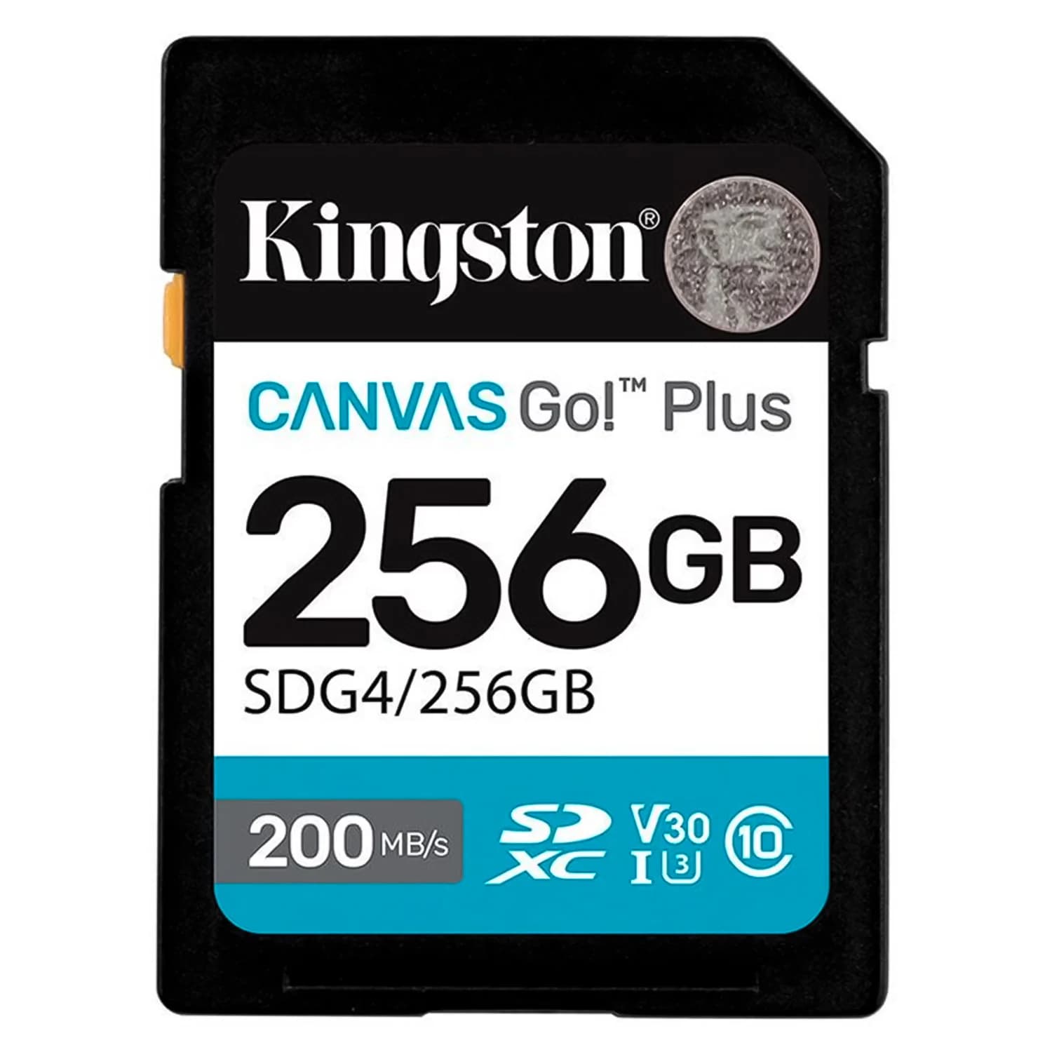 Kingston Cartão de Memória SD Kingston Canvas Go Plus 256GB 200Mbs - SDG4/256GB