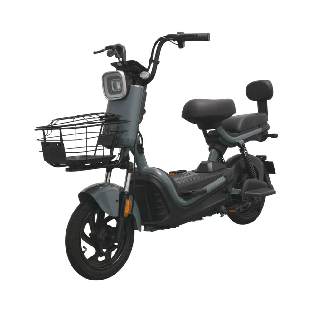 Smart-wheel Moto Electrica Smart Wheel JK30 Cinza